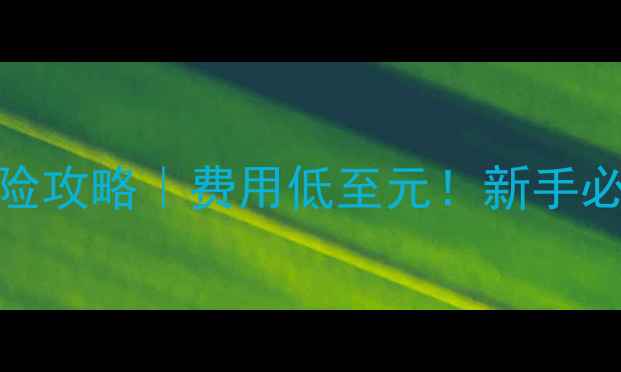 图片 125踏板摩托保险攻略｜费用低至元！新手必看避坑指南🔥1