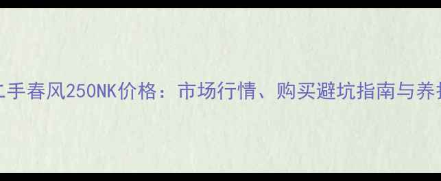 图片 17年二手春风250NK价格：市场行情、购买避坑指南与养护秘籍