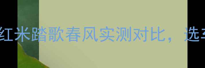 图片 250cc入门级摩托性能全！红米踏歌春风实测对比，选车避坑指南（附详细数据）