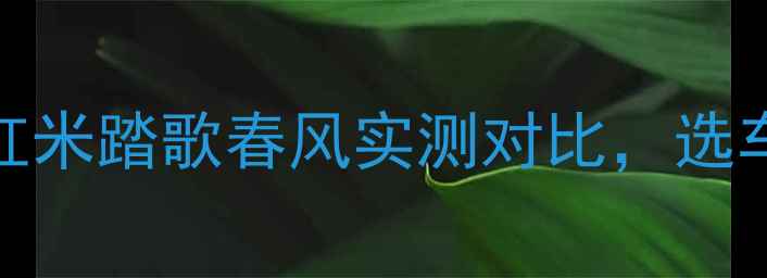 图片 250cc入门级摩托性能全！红米踏歌春风实测对比，选车避坑指南（附详细数据）1