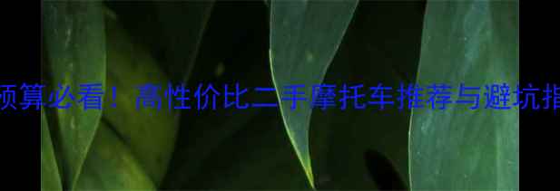 图片 5万预算必看！高性价比二手摩托车推荐与避坑指南2