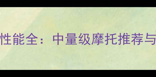 图片 600cc街车性能全：中量级摩托推荐与选购指南2