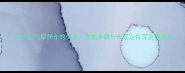 图片 80万宝马摩托车的价值：性能参数与市场定位深度评测2