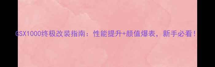 图片 GSX1000终极改装指南：性能提升+颜值爆表，新手必看！