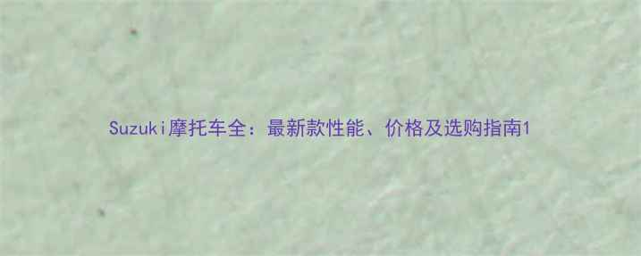 图片 Suzuki摩托车全：最新款性能、价格及选购指南1