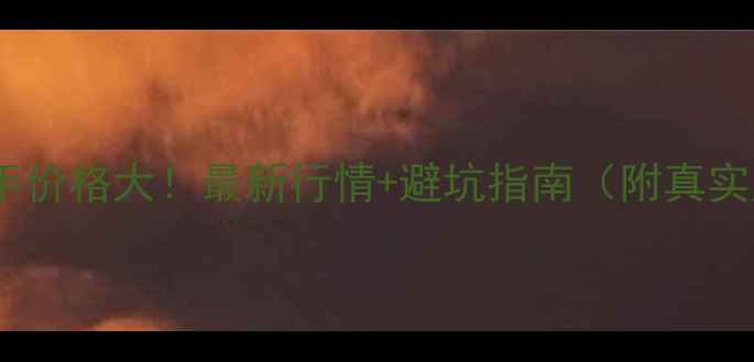 图片 Z1000R二手价格大！最新行情+避坑指南（附真实成交价）1