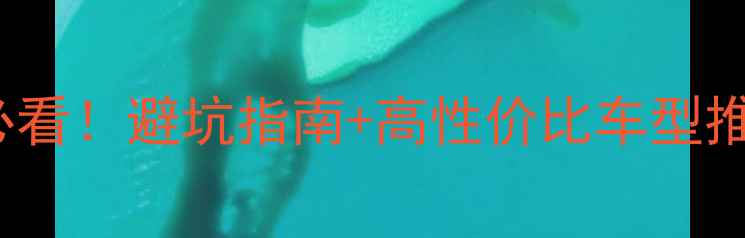 图片 gnzone摩托车新手必看！避坑指南+高性价比车型推荐（附保养秘籍）2