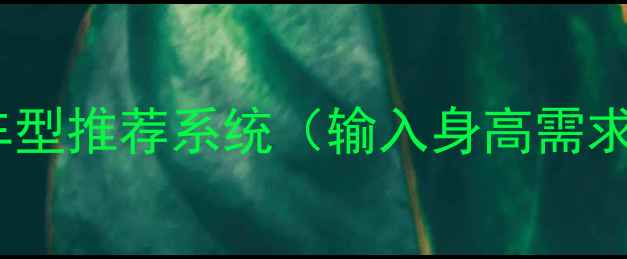 图片 ✅24小时AI车型推荐系统（输入身高需求秒出方案）1