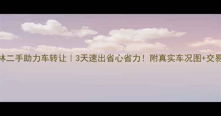 图片 ✨东海桃林二手助力车转让｜3天速出省心省力！附真实车况图+交易全流程🚗