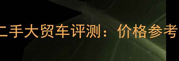 图片 上海川崎Z400二手大贸车评测：价格参考与购买全指南2
