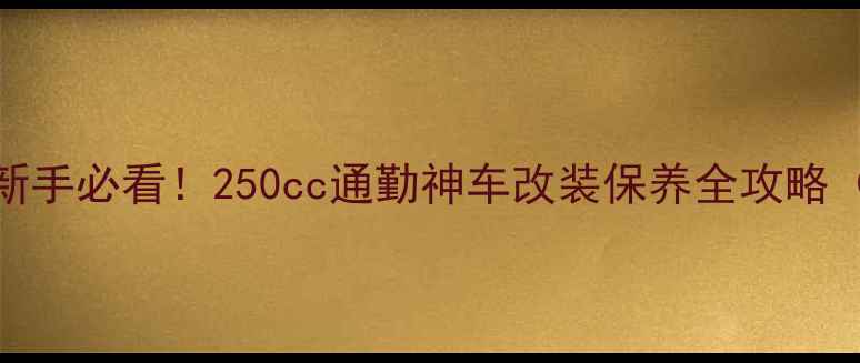 图片 上海本田250深度测评新手必看！250cc通勤神车改装保养全攻略（附本地改装店推荐）1