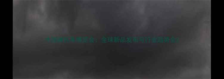 图片 中国摩托车博览会：全球新品发布与行业趋势全2