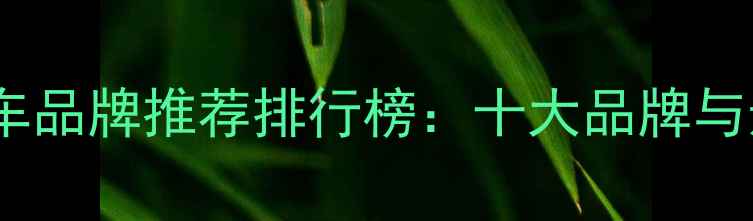 图片 中国摩托车品牌推荐排行榜：十大品牌与选购指南2