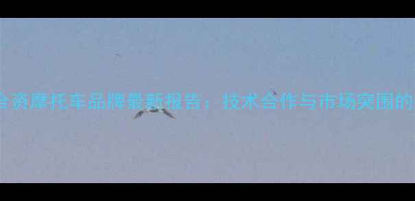 图片 中外合资摩托车品牌最新报告：技术合作与市场突围的深度1