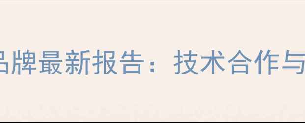 图片 中外合资摩托车品牌最新报告：技术合作与市场突围的深度2