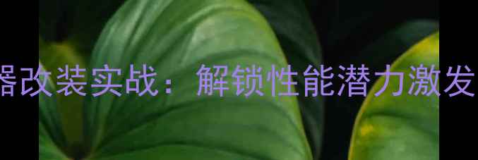 图片 主摩托车点火器改装实战：解锁性能潜力激发引擎极限速度1