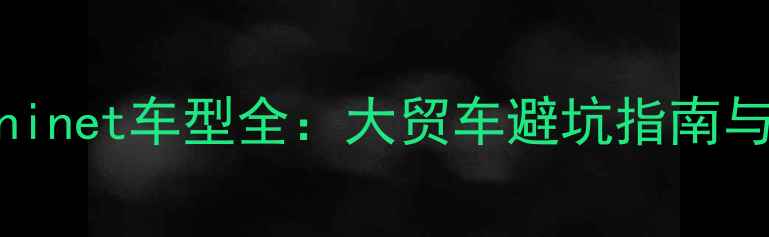 图片 二手大贸rninet车型全：大贸车避坑指南与养护秘籍2