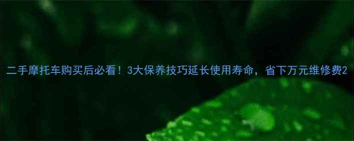 图片 二手摩托车购买后必看！3大保养技巧延长使用寿命，省下万元维修费2