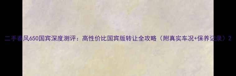 图片 二手春风650国宾深度测评：高性价比国宾版转让全攻略（附真实车况+保养记录）2