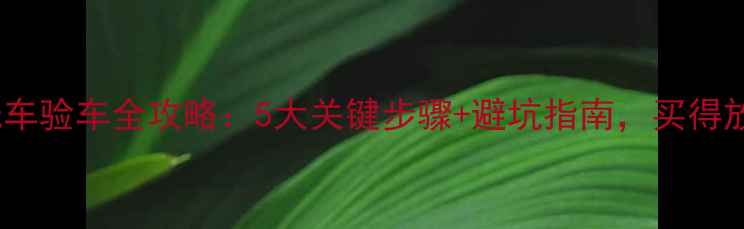图片 二手电动摩托车验车全攻略：5大关键步骤+避坑指南，买得放心不踩雷！1