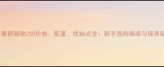 图片 二手豪爵骊驰250价格、配置、优缺点全：新手选购指南与保养秘籍2