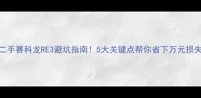 图片 二手赛科龙RE3避坑指南！5大关键点帮你省下万元损失