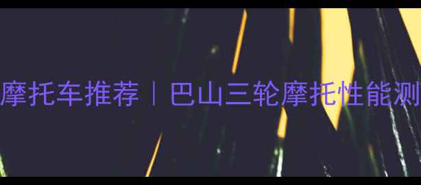 图片 全网最全三轮摩托车推荐｜巴山三轮摩托性能测评+选购攻略2