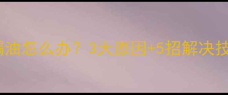 图片 冬季摩托车减震油漏油怎么办？3大原因+5招解决技巧（附图文指南）1