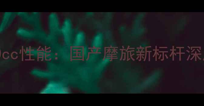 图片 力帆400cc性能：国产摩旅新标杆深度测评1