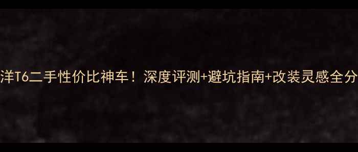 图片 华洋T6二手性价比神车！深度评测+避坑指南+改装灵感全分享
