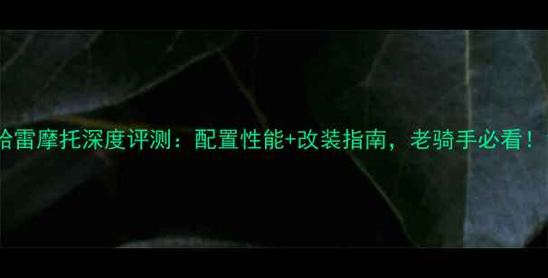 图片 哈雷摩托深度评测：配置性能+改装指南，老骑手必看！1