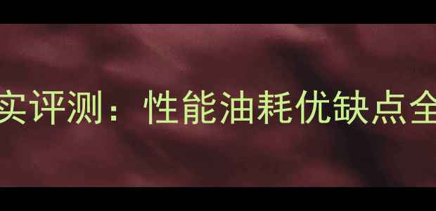 图片 大阳电喷摩托车真实评测：性能油耗优缺点全（附最新款对比）