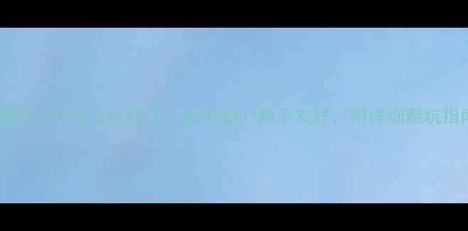 图片 大阳踏板二手性价比绝了！省油省心新手友好，附详细避坑指南🔥2