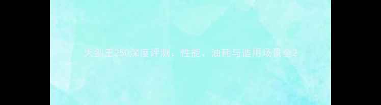 图片 天剑王250深度评测：性能、油耗与适用场景全2