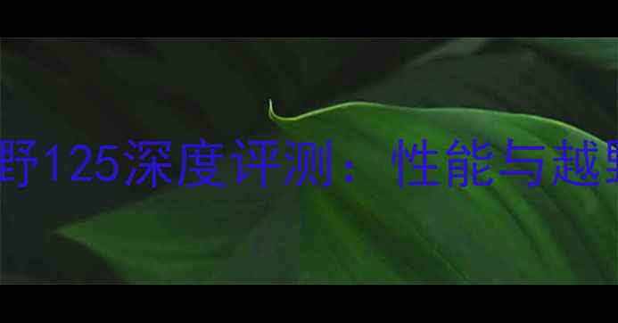 图片 宗申摩托越野125深度评测：性能与越野利器推荐2