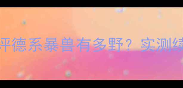 图片 宝马1000R深度测评德系暴兽有多野？实测续航操控颜值全🔥2