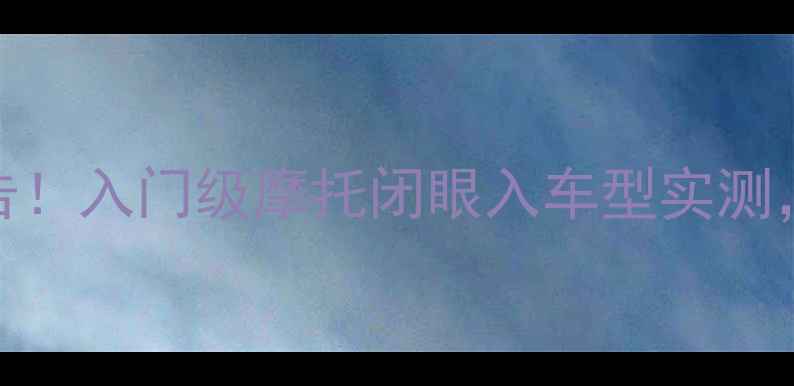 图片 宝马G310R真香警告！入门级摩托闭眼入车型实测，后悔买其他车！1