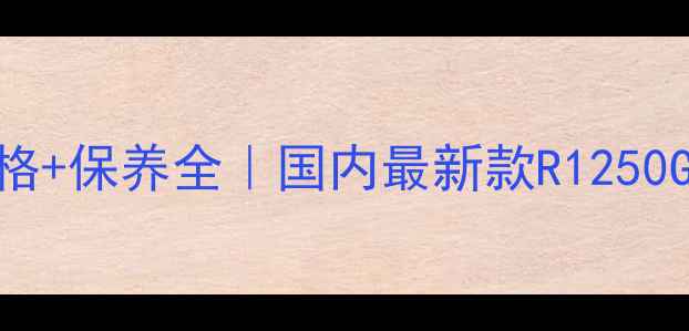 图片 宝马摩托车型号+价格+保养全｜国内最新款R1250GSS1000RR深度测评1
