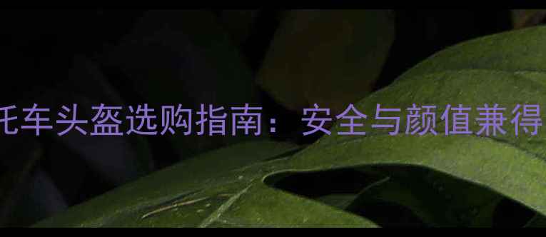 图片 宝马摩托车头盔选购指南：安全与颜值兼得全攻略2