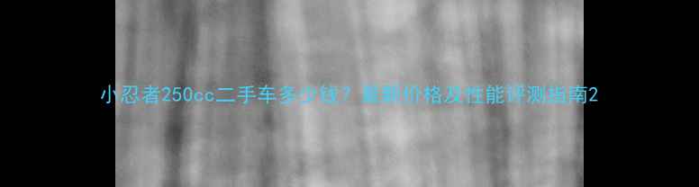 图片 小忍者250cc二手车多少钱？最新价格及性能评测指南2