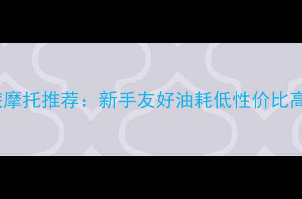 图片 小排量休旅摩托推荐：新手友好油耗低性价比高的车型全1