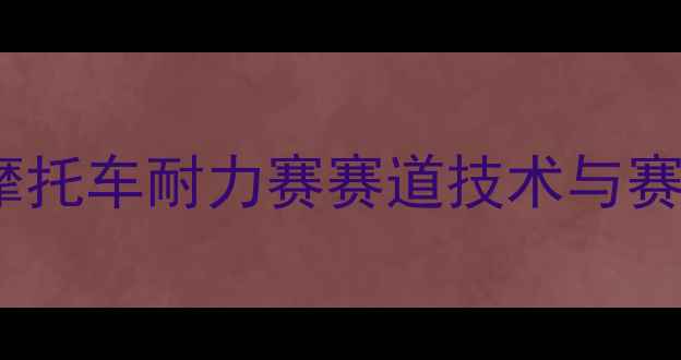 图片 广州国际摩托车耐力赛赛道技术与赛事全记录1