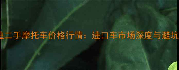 图片 庞巴迪二手摩托车价格行情：进口车市场深度与避坑指南1