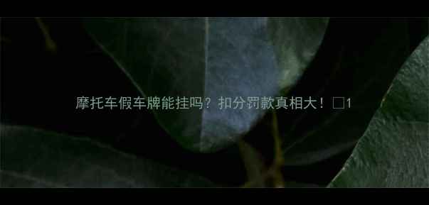 图片 摩托车假车牌能挂吗？扣分罚款真相大！🚨1