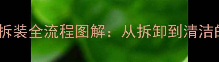 图片 摩托车化油器拆装全流程图解：从拆卸到清洁的7步操作指南
