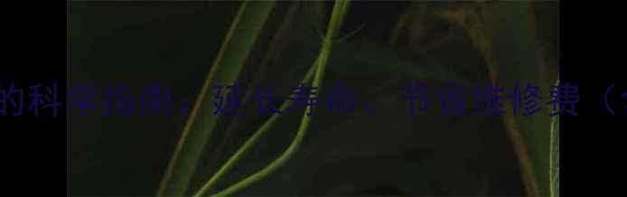 图片 摩托车定期更换机油的科学指南：延长寿命、节省维修费（含全周期维护方案）2