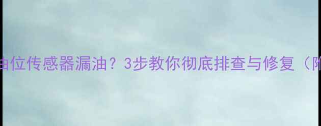 图片 摩托车油位传感器漏油？3步教你彻底排查与修复（附图解）