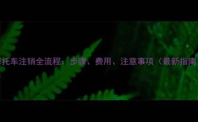 图片 摩托车注销全流程：步骤、费用、注意事项（最新指南）