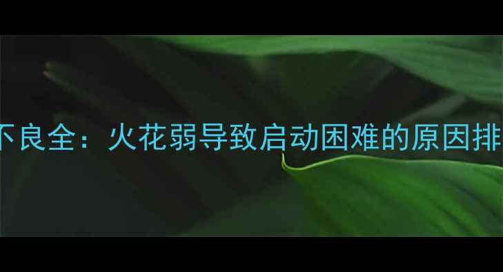 图片 摩托车火花塞点火不良全：火花弱导致启动困难的原因排查与专业维修指南1