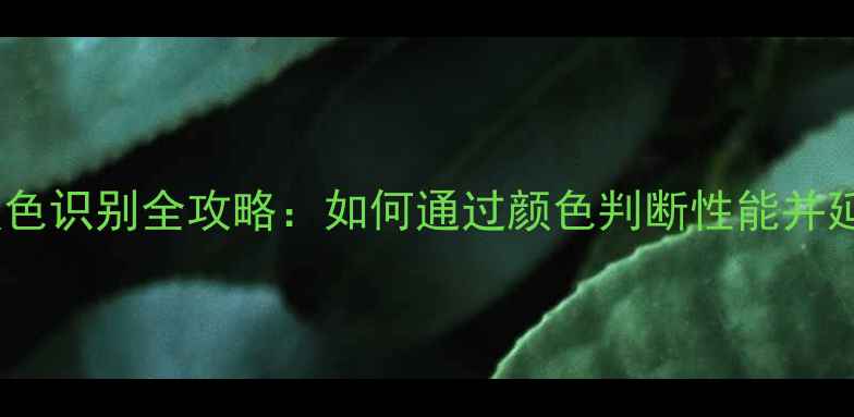 图片 摩托车火花塞颜色识别全攻略：如何通过颜色判断性能并延长使用寿命？2